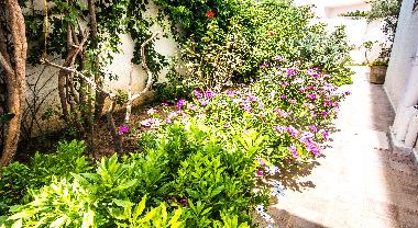 Ferienwohnung in Mahdia (Al Mahdiyah) oder Ferienwohnung oder Ferienhaus