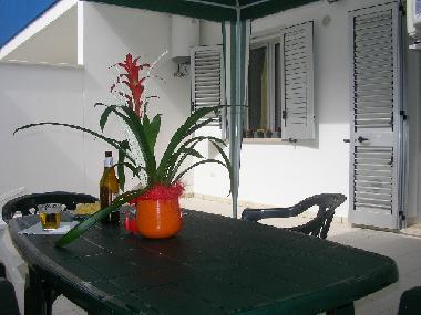 Villa in SANNICOLA - LIDO CONCHIGLIE (Lecce) oder Ferienwohnung oder Ferienhaus