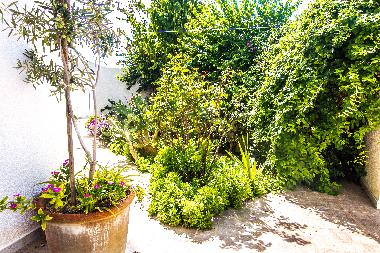 Ferienwohnung in Mahdia (Al Mahdiyah) oder Ferienwohnung oder Ferienhaus