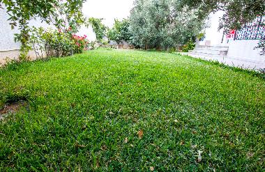 Ferienwohnung in Mahdia (Al Mahdiyah) oder Ferienwohnung oder Ferienhaus