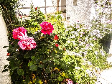 Ferienwohnung in Tunis (Aryanah) oder Ferienwohnung oder Ferienhaus