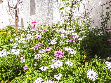 Ferienwohnung in Tunis (Aryanah) oder Ferienwohnung oder Ferienhaus