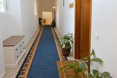 Ferienwohnung in Dubrovnik (Dubrovacko-Neretvanska) oder Ferienwohnung oder Ferienhaus