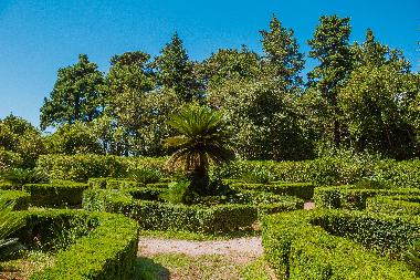 Ferienwohnung in Dubrovnik (Dubrovacko-Neretvanska) oder Ferienwohnung oder Ferienhaus