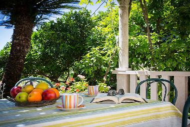 Ferienwohnung in Dubrovnik (Dubrovacko-Neretvanska) oder Ferienwohnung oder Ferienhaus