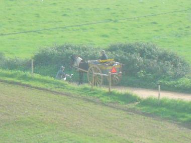 Ferienhaus in Cercal (Alentejo Litoral) oder Ferienwohnung oder Ferienhaus