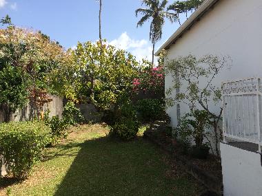Ferienhaus in BASSE TERRE (Guadeloupe) oder Ferienwohnung oder Ferienhaus