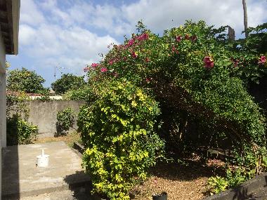 Ferienhaus in BASSE TERRE (Guadeloupe) oder Ferienwohnung oder Ferienhaus