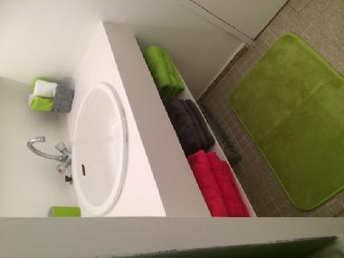 Ferienhaus in BASSE TERRE (Guadeloupe) oder Ferienwohnung oder Ferienhaus