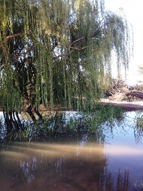 Ferienhaus in Guandacol (La Rioja) oder Ferienwohnung oder Ferienhaus