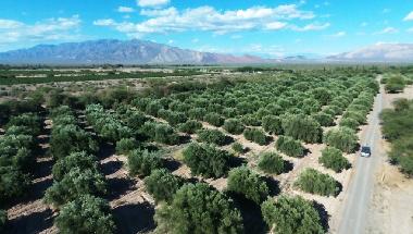 Ferienhaus in Guandacol (La Rioja) oder Ferienwohnung oder Ferienhaus