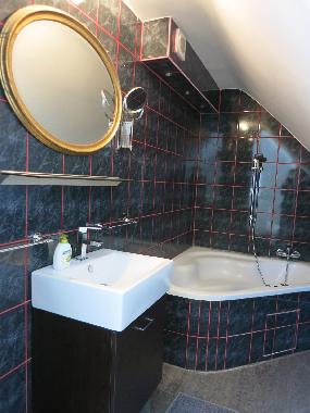 Ferienhaus Donauvilla Wien Bad OG