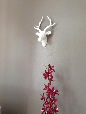 Ferienhaus in Lorient (Morbihan) oder Ferienwohnung oder Ferienhaus