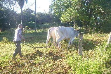 Ferienhaus in Villeta/Cumbarity (Central) oder Ferienwohnung oder Ferienhaus