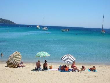 Ferienhaus in Cavalaire sur mer (Provence-Alpes-Cote d