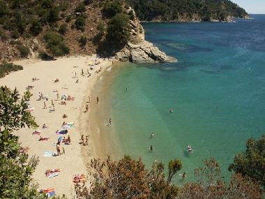 Ferienhaus in Cavalaire sur mer (Provence-Alpes-Cote d
