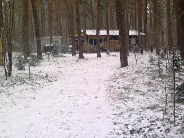 Ferienhaus in Bad Saarow (Oder-Spree) oder Ferienwohnung oder Ferienhaus