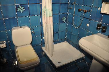 2. Badezimmer mit Duscche, Toilette, Lavabo