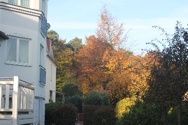 Blick von der Terrasse in den herbstlichen Wald