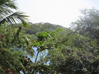 Ferienhaus in FORT DE FRANCE (Martinique) oder Ferienwohnung oder Ferienhaus