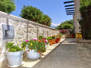 Ferienwohnung in Povlja (Splitsko-Dalmatinska) oder Ferienwohnung oder Ferienhaus