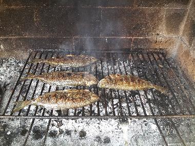 Ferienwohnung in Povlja (Splitsko-Dalmatinska) oder Ferienwohnung oder Ferienhaus