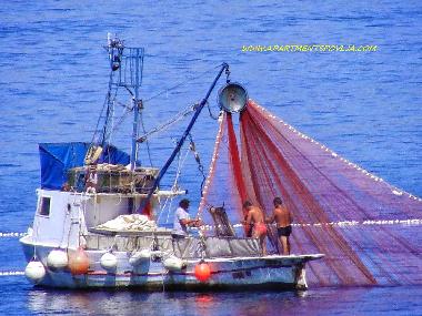 Ferienwohnung in Povlja (Splitsko-Dalmatinska) oder Ferienwohnung oder Ferienhaus