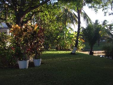 Im Garten der Villa Cactus