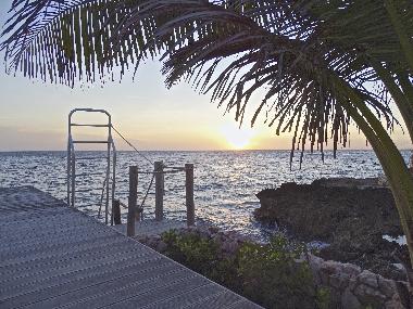 Villa in Willemstad (Curacao) oder Ferienwohnung oder Ferienhaus