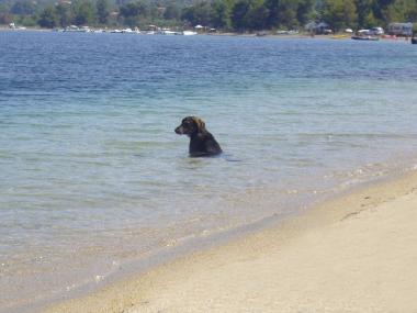 Erholung Pur, auch fr treue Gefhrten