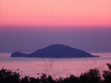 Die Schildkrten Insel