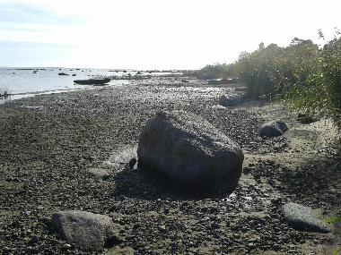 Ferienwohnung in Upesgriva (Lettland) oder Ferienwohnung oder Ferienhaus