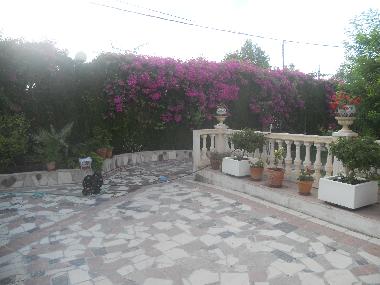 Ferienwohnung in san vicente del raspeig (Alicante / Alacant) oder Ferienwohnung oder Ferienhaus