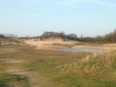 Ferienhaus in Egmond a/d Hoef (Noord-Holland) oder Ferienwohnung oder Ferienhaus