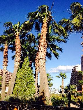 Ferienwohnung in Oropesa del Mar (Castelln / Castell) oder Ferienwohnung oder Ferienhaus