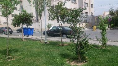 Ferienwohnung in Tehran (Tehran) oder Ferienwohnung oder Ferienhaus