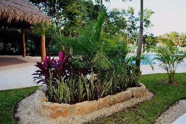 Ferienwohnung in Playa del carmen (Quintana Roo) oder Ferienwohnung oder Ferienhaus