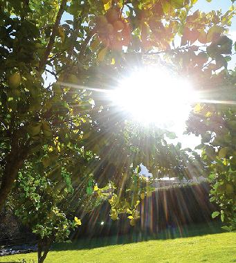 Ferienhaus in Lamadrid, Vald�liga (Cantabria) oder Ferienwohnung oder Ferienhaus