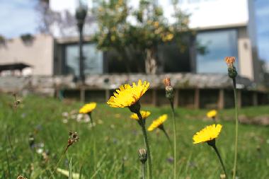 Ferienhaus in Lamadrid, Valdliga (Cantabria) oder Ferienwohnung oder Ferienhaus