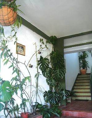 Ferienhaus in Lamadrid, Vald�liga (Cantabria) oder Ferienwohnung oder Ferienhaus