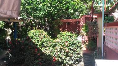 Ferienhaus in Vinales (Pinar del Rio) oder Ferienwohnung oder Ferienhaus