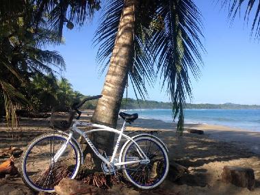Ferienwohnung in Talamaca (Limon) oder Ferienwohnung oder Ferienhaus