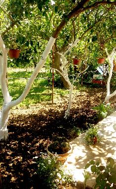 Ferienwohnung in Tivat (Montenegro) oder Ferienwohnung oder Ferienhaus