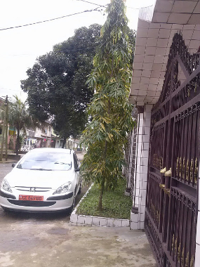 Ferienwohnung in Douala (Littoral) oder Ferienwohnung oder Ferienhaus