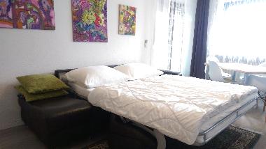 Ferienwohnung in Bad Kissingen (Unterfranken) oder Ferienwohnung oder Ferienhaus