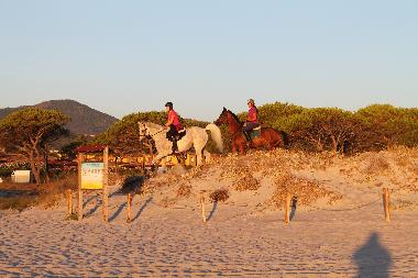 reiten am Strand