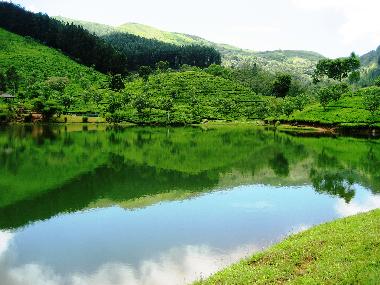 Villa in matara (Matara) oder Ferienwohnung oder Ferienhaus