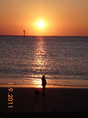 Ferienhaus in Den Osse (Zeeland) oder Ferienwohnung oder Ferienhaus