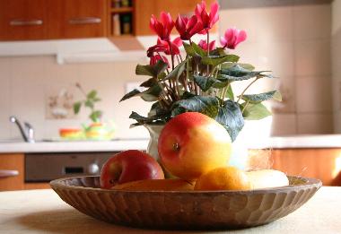 Ferienwohnung in Tolmin (Tolmin) oder Ferienwohnung oder Ferienhaus
