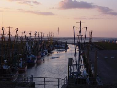 Ferienwohnung in Wurster Nordseekste (Nordsee-Festland / Ostfriesland) oder Ferienwohnung oder Ferienhaus